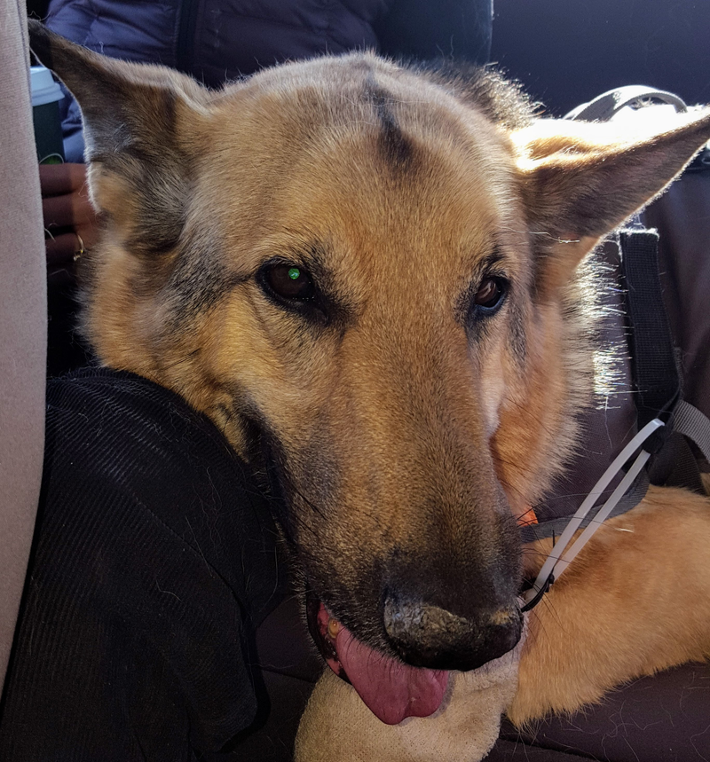 RIP buddy